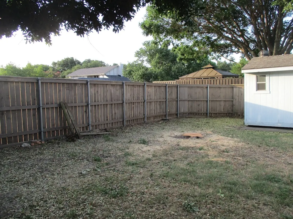Cleared yard after professional tree removal in Whitetop