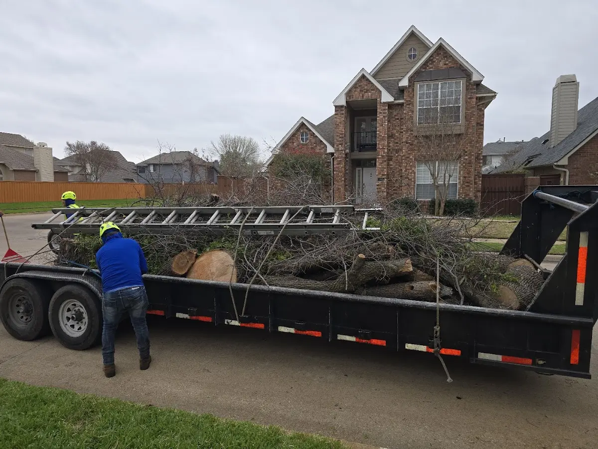 Expert Lot Clearing with proper safety equipment in Whitetop